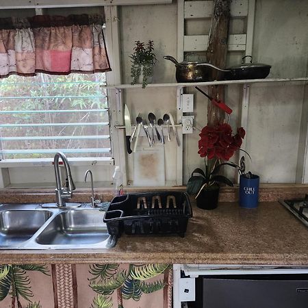 Cabin 2-Rustic Private Stay Near Volcano National Park Fern Forest Exterior photo