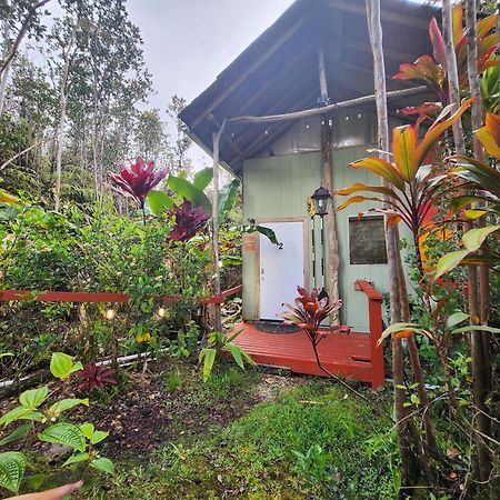 Cabin 2-Rustic Private Stay Near Volcano National Park Fern Forest Exterior photo