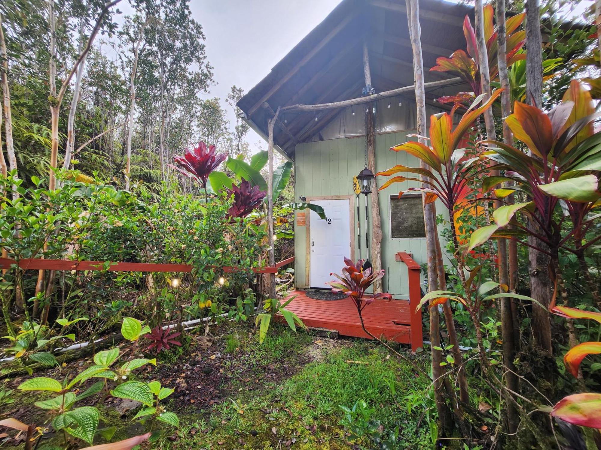 Cabin 2-Rustic Private Stay Near Volcano National Park Fern Forest Exterior photo